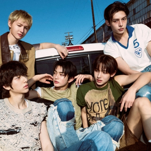 코르티스