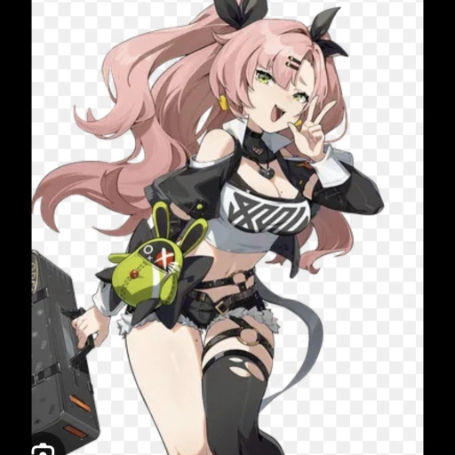 니콜