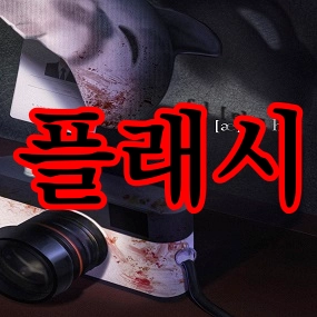 플래시