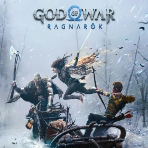 6 6