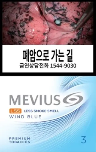 일반 메비우스 LSS 윈드 블루