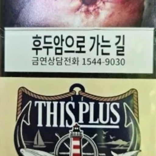일반 디스 플러스