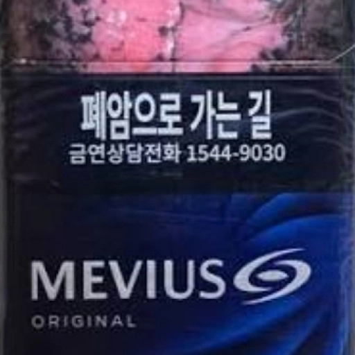일반 메비우스 오리지널