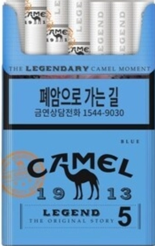 일반 카멜 레전드 5