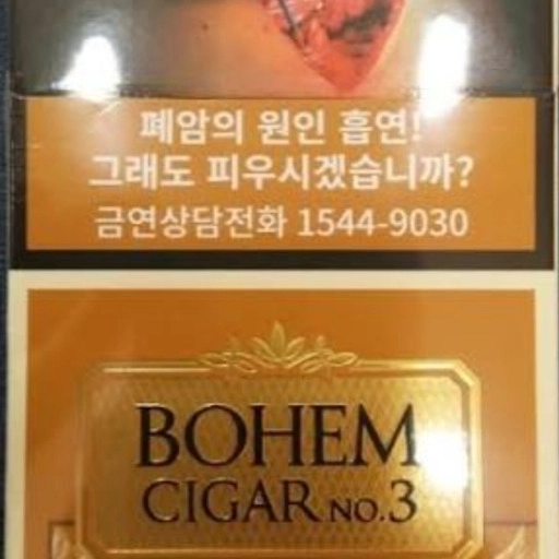 일반 보헴 시가 No.3