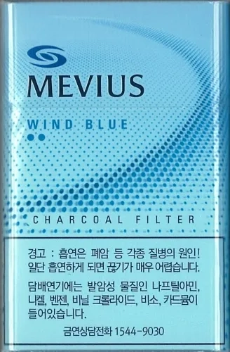 일반 메비우스 윈드 블루