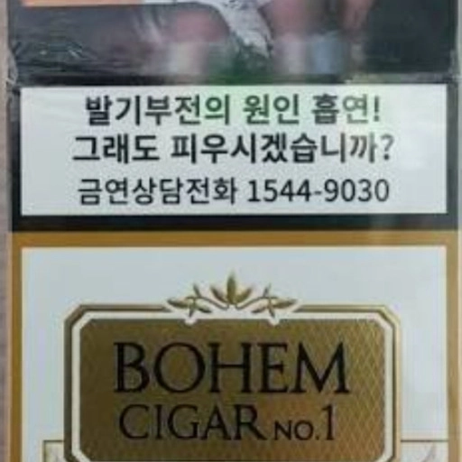 일반 보헴 시가 No.1