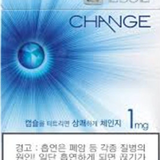 하이브리드 에쎄 체인지 1