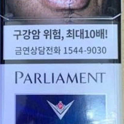 일반 팔리아멘트 아쿠아 5
