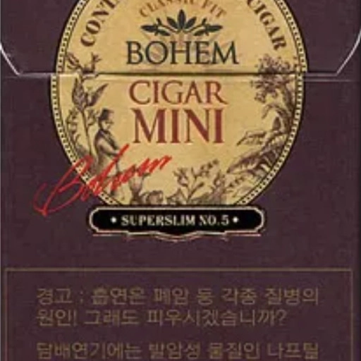일반 보헴 시가 미니5