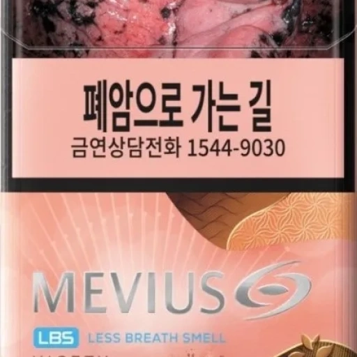 멘솔 메비우스 LBS 나이스티