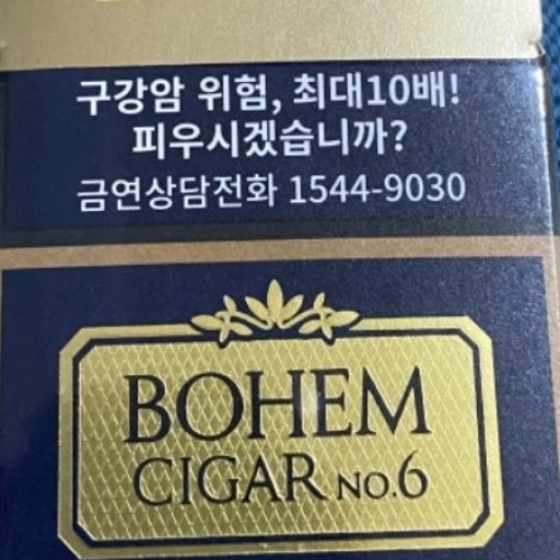 일반 보헴 시가 No.6