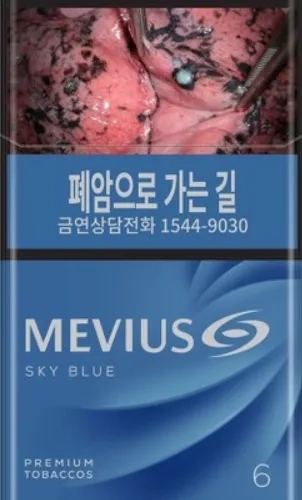 일반 메비우스 스카이 블루